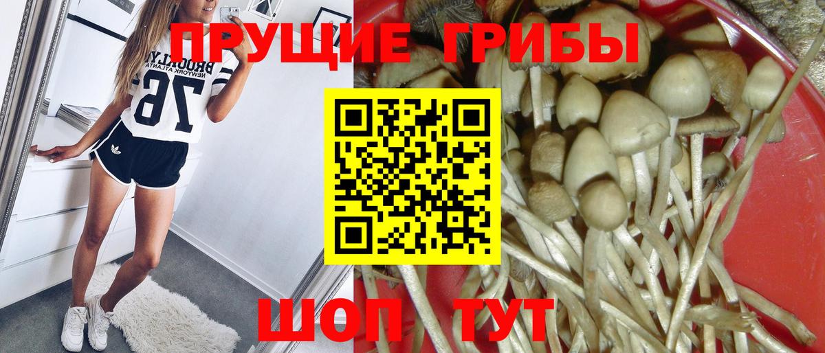 как найти наркотики  Вход с VPN  Жигулёвск  Галлюциногенные грибы GOLDEN TEACHER 